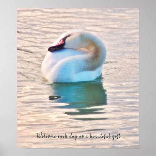 Calm Dreamy Mute Swan in Rippled Glowing Water Poster