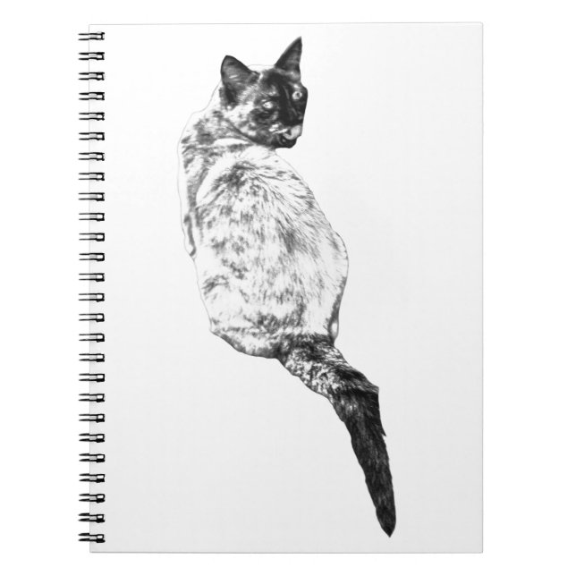 Calm Grooming Cat, Quiet Thoughts Notebook (Front)
