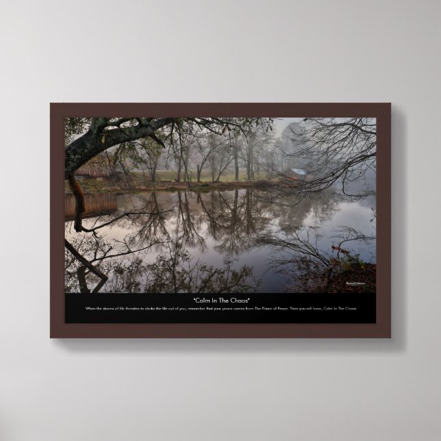 Calm In The Chaos Framed Art (Framed Front)