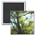 Calm Magnet, By H.a.s. Arts Magnet at Zazzle