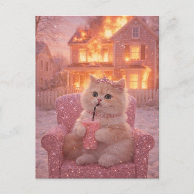 Calm Princess Cat During Total Chaos               Postcard (Front)