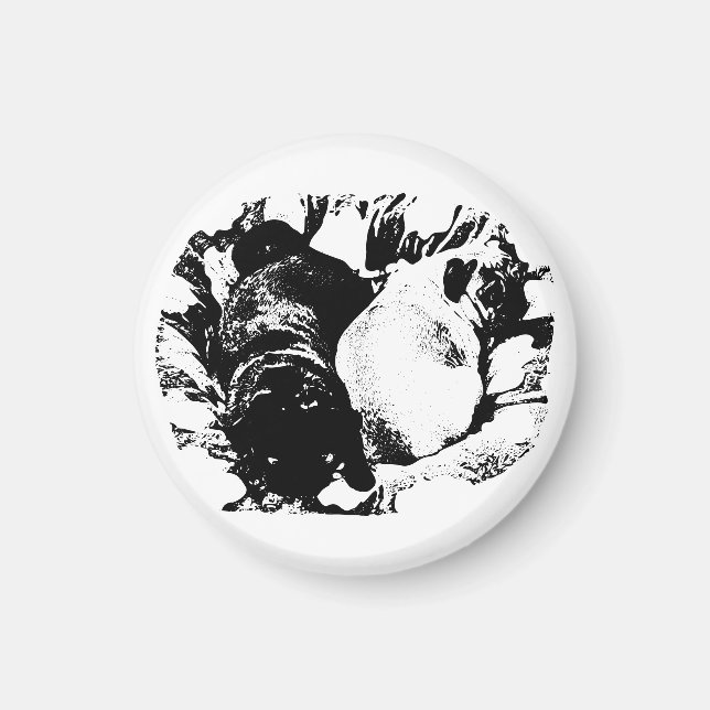 Calm Pugs on the Fridge Magnet (Front)