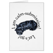 Calm Scottish Terrier (Front)