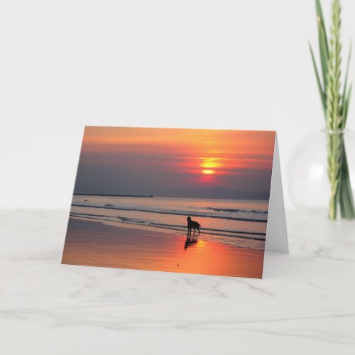 Calm Seas  Sunset _ Scripture Greeting Card