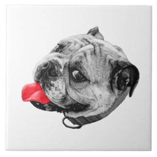 Calm Set with Warmth Ceramic Tile