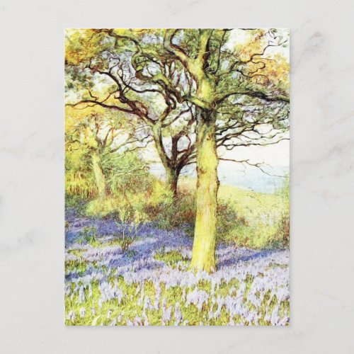 Calm Tree and Flower FIeld Landscape Postcard