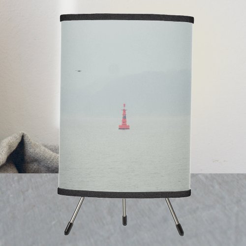 Calm winter sea and red lighthouse tripod lamp