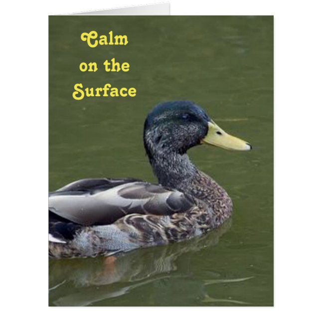 Calm, Yet Crazy Duck Cards (Front)