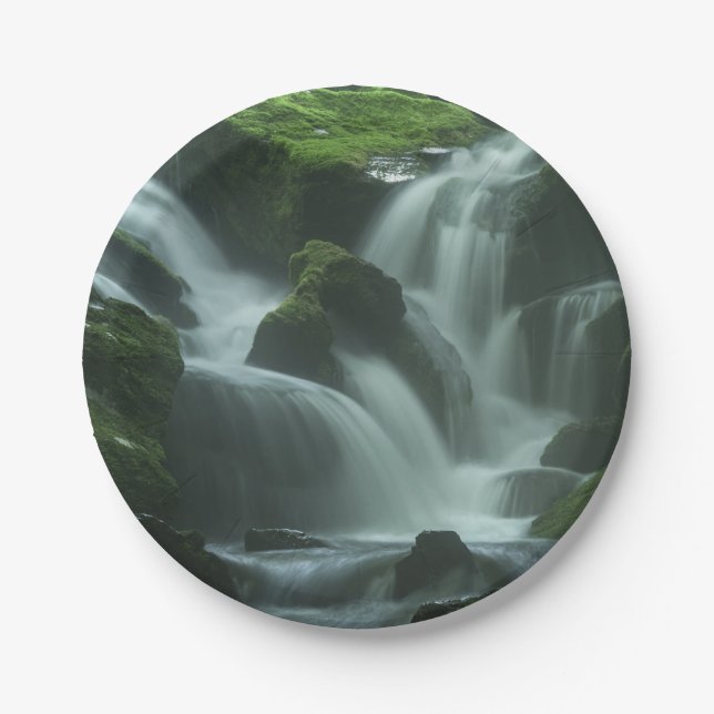 Calming Waterfall Paper Plates (Front)