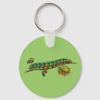 Calocampa vetusta caterpillar keychain