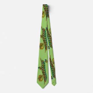 Calocampa vetusta caterpillar neck tie