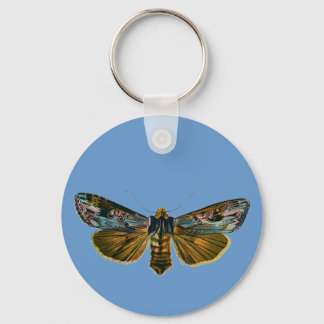 Calocampa vetusta keychain