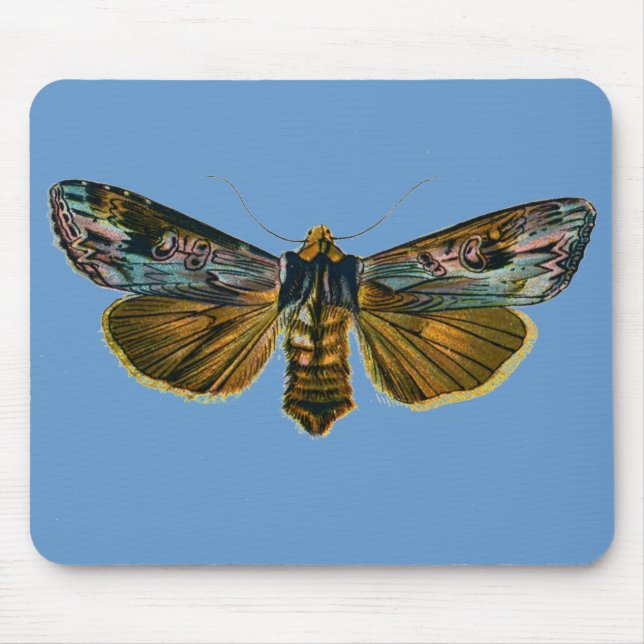 Calocampa vetusta mouse pad (Front)