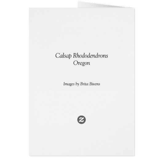 Calsap Rhododendrons (Back)