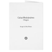 Calsap Rhododendrons Cards (Back)