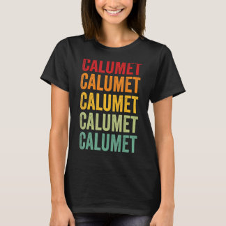 Calumet County Wisconsin Rainbow Text Design T-Shirt