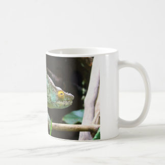 Calumma Parsonii Coffee Mug