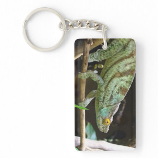 Calumma Parsonii Keychain