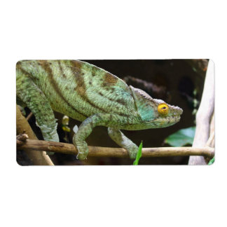 Calumma Parsonii Label