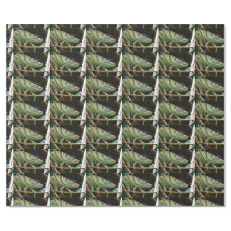 Calumma Parsonii Wrapping Paper