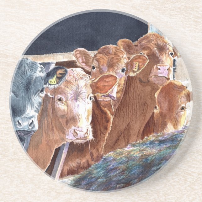 Calves at Brunch Sandstone Coaster (Front)
