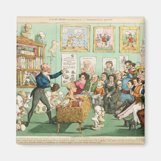Calves' Heads and Brains; a Phrenological Magnet (Front)