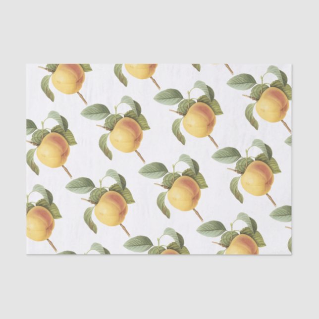 Calville apple Pattern Tissue Paper (Front)