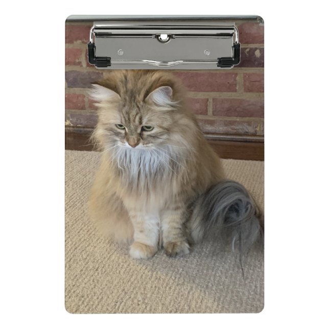 Calypboard Mini Clipboard (Front)