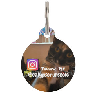 Calypso's Pet Tag on Ato 8-10 by HCH