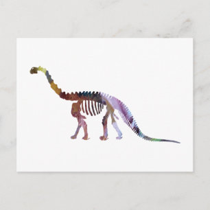 camarasaurus skeleton postcard