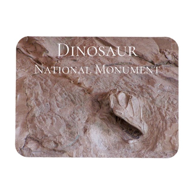 Camarasaurus Skull and Skeleton, Dinosaur, Utah Magnet (Horizontal)