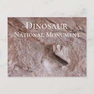 Camarasaurus Skull and Skeleton, Dinosaur, Utah Postcard