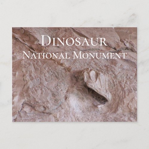 Camarasaurus Skull and Skeleton Dinosaur Utah Postcard