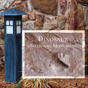 Camarasaurus Skull, Skeleton, Dinosaur Ntl. Park Postcard
