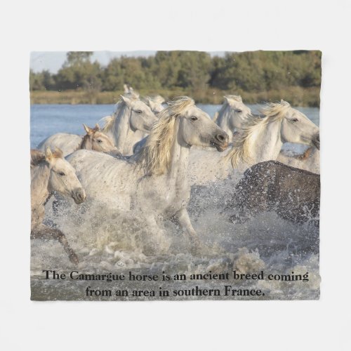 Camargue Horse Ancient Breed Of France Equestrian Fleece Blanket
