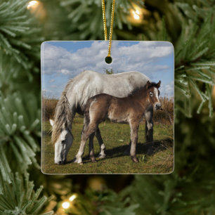 Camargue Horse Foal with Mother Ceramic Ornament