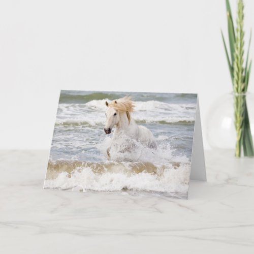 Camargue Horse in the Surf Card