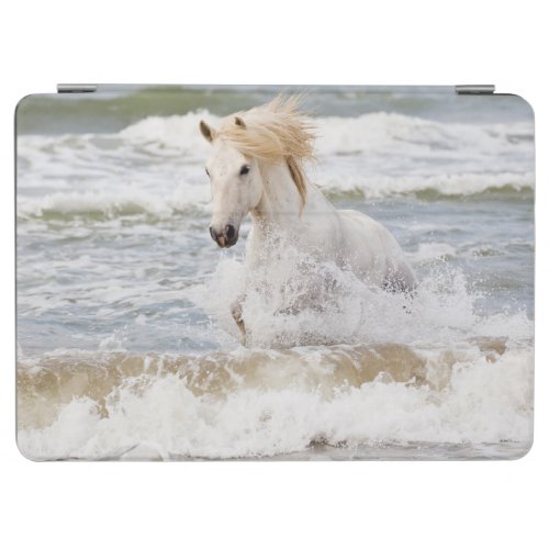 Camargue Horse in the Surf iPad Air Cover