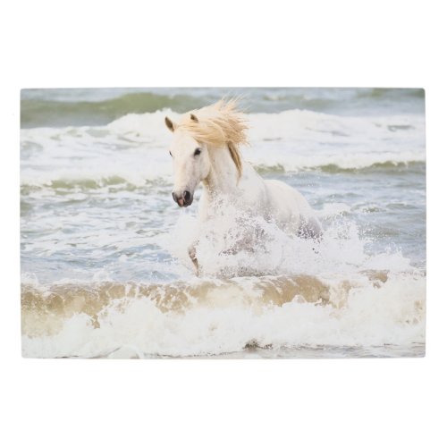 Camargue Horse in the Surf Metal Print
