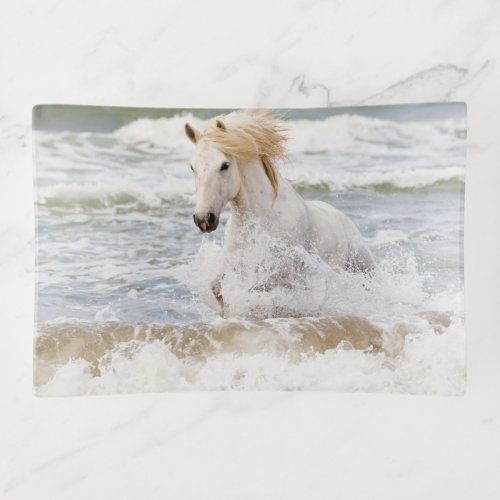 Camargue Horse in the Surf Trinket Tray