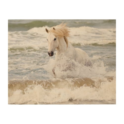 Camargue Horse in the Surf Wood Wall Art