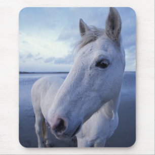 Camargue Horse Mouse Pad