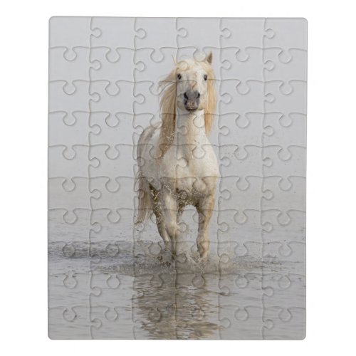 Camargue Horse Running in Water Jigsaw Puzzle