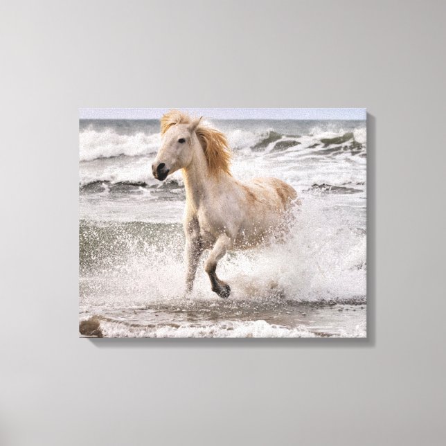 Camargue Horse Running out of Surf Canvas Print (Front)