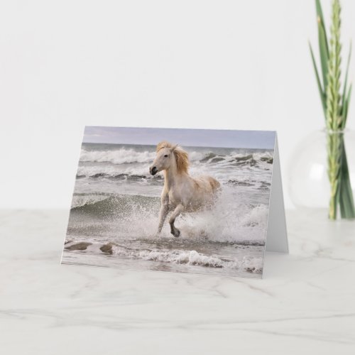 Camargue Horse Running out of Surf Card