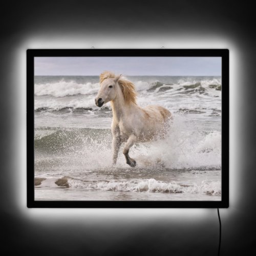 Camargue Horse Running out of Surf LED Sign