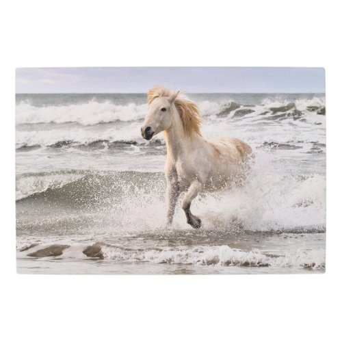 Camargue Horse Running out of Surf Metal Print
