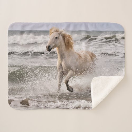 Camargue Horse Running out of Surf Sherpa Blanket