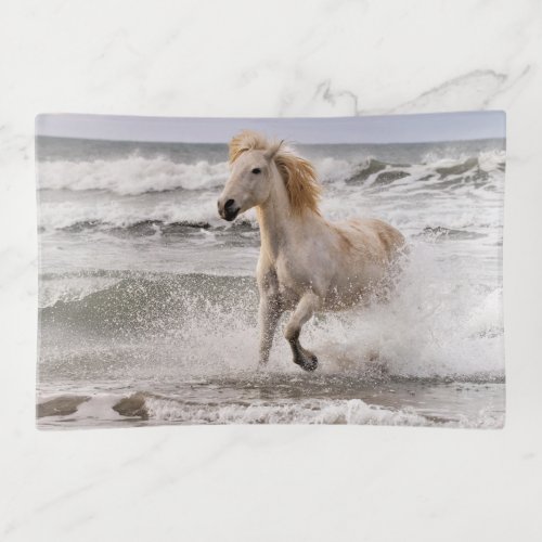 Camargue Horse Running out of Surf Trinket Tray