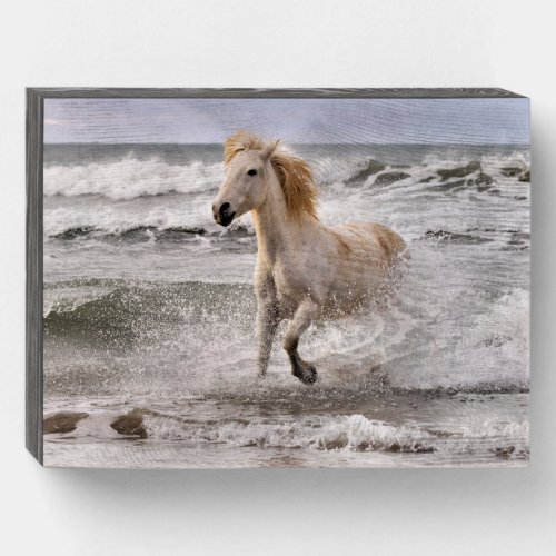 Camargue Horse Running out of Surf Wooden Box Sign